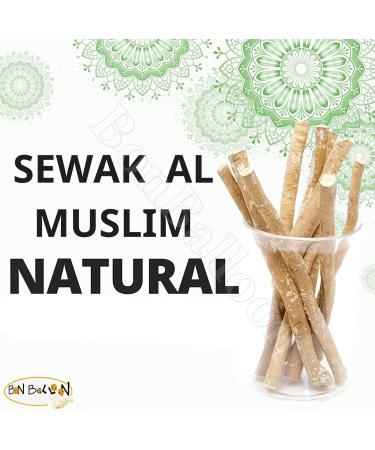 Buy Miswak Sticks - Natural Herbal Toothbrush with Holder (10 Tooth Sticks + 1 Holder) | SEWAK - International Shipping Available - Buy Online on GoSupps.com