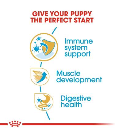 Royal Canin Boxer Junior 3.0 kg - Buy Online on GoSupps.com