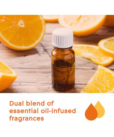 Glade Essential Oil Diffuser Refill Use with Cool Mist Aromatherapy Diffuser Air Freshener for Home Uplift Your Day Scent with Notes of Orange & Neroli 1 Count - Buy Online on GoSupps.com