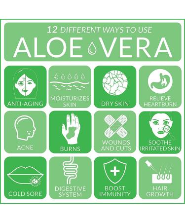 ArtNaturals Aloe Vera Gel 100% Pure Cold Pressed - 2 Pack x 12oz - Raw Natural Moisturizer for Skin, Hand, Face & Hair - Buy Online on GoSupps.com