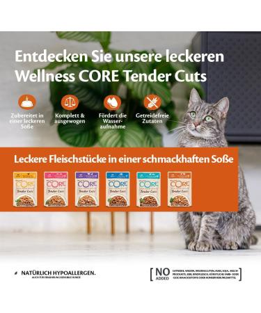 Wellness Core Tender Cuts Cat Food - Grain Free Wet Sauce High Meat Content Turkey Selection Mix (6 x 85g Pack) - International Shipping Available - Buy Online on GoSupps.com