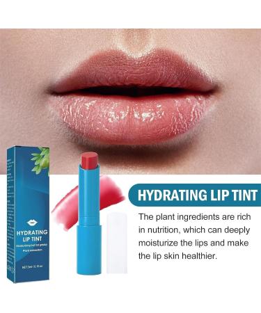 2024 Tinted Lip Balm Nutritious Moisturizing Lip Balm Long Lasting Waterproof Hydrating Lip Gloss Natural Ingredients Moisturizing Lip Tint for Dry Chapped Lips - Buy Online on GoSupps.com