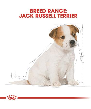 Royal Canin Puppy Food Junior Biscuits for Jack Russell Terrier Puppies Aged 2-10 Months 1.5 kg Bag - Buy Online on GoSupps.com