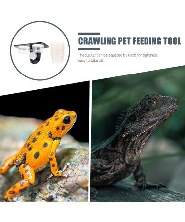 Mipcase Magnetic Reptile Ledge- Crested Gecko Feeding Ledge with 10 Bowls Reptile Feeding Cups Reptile Water and Food Dish with Suction Cup 11.7X6.3X5.7CM - Buy Online on GoSupps.com