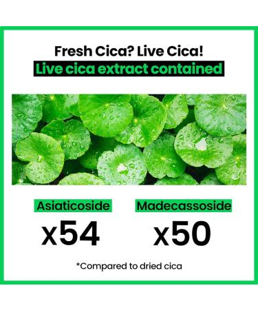 Real Barrier Cica Relief Rx Fade In Serum Mask - 10 Pack | Soothing Hydrating Facial Mask with Centella Asiatica for Sensitive Skin | Redness Relief | Korean Skincare - Buy Online on GoSupps.com