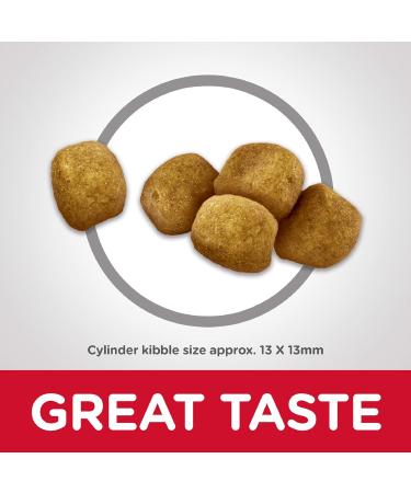 Hill's Science Diet Adult Oral Care Chicken Recipe Dry Cat Food for dental health 15.5 lb Bag 7.03 kg (Pack of 1) Adult | Chicken Cat Food - Buy Online on GoSupps.com