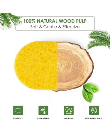 Vilphel Biobased Face Cleansing Pads Facial Scrubber Sponges for Women&Men Exfoliation Lint Free Reusable Daily Face Wipes Skincare Tools for Multi-Purpose - Buy Online on GoSupps.com