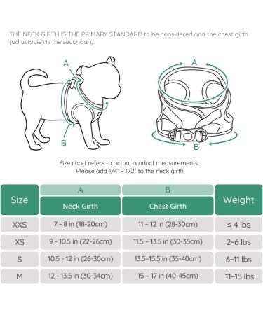 Shop Bella & Pal Dog Harness Set - Comfortable Air Mesh with Reflective Strip for Small & Medium Dogs - Anti-Train No Tensile Leash - XS Christmas Green - Buy Online on GoSupps.com