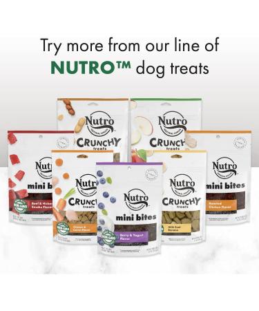 Nutro Crunchy Natural Biscuit Dog Treats - Healthy, Tasty Snacks for Dogs - Buy Online on GoSupps.com