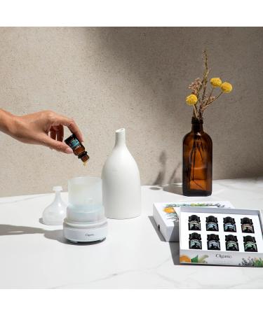 Cliganic Sleep Surrender Organic Essential Oil Blend 0.51 Fl Oz Carefully Crafted with Vetiver Lavender Frankincense Clary Sage Ylang Ylang Marjoram & Spearmint Calming Aromatherapy Oil - Buy Online on GoSupps.com