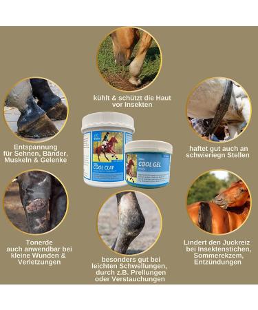 Refreshing Gel for Horses I Refreshing Horse Balm 1000 + 500 ml Refreshing Ointment with Arnica I Massage Cream for Tendons Joints Muscles and Ligaments I - Buy Online on GoSupps.com