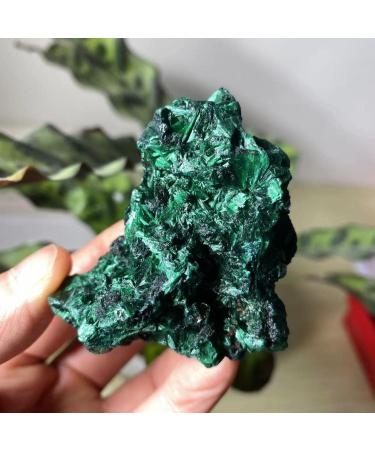 1pcs Beautiful specimens of The Natural Malachite ZJGIDTEM (Size : 200-250g) - Buy Online on GoSupps.com