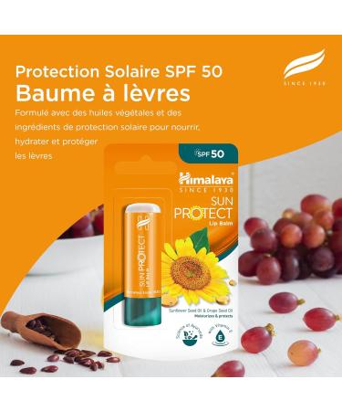Himalaya Sun Protect Lip Balm with SPF 50 and UVA Protection Protects Your Lips from Sun Damage 4.5g - Buy Online on GoSupps.com