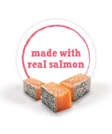 Beneful Incredibites Wet Dog Food for Small Dogs Real Salmon in Gravy - 85 g Can (24 Pack) - Buy Online on GoSupps.com
