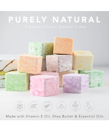 Fathers Day Aromatherapy Shower Steamers Variety Pack - Set of 12 Natural Scented Shower Bombs - Relaxing Gift for Women & Men - Eucalyptus & More Essential Oil Bath Bomb - Birthday Gift Idea - Buy Online on GoSupps.com