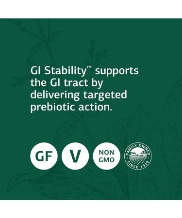 Standard Process GI Stability - 90 Wafers | Optimize Digestive Health | Buy Internationally - Buy Online on GoSupps.com