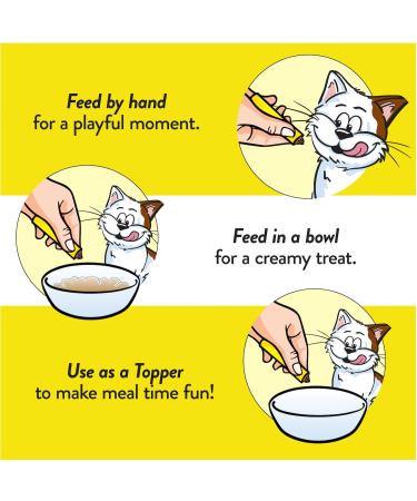 TEMPTATIONS Cat Treats Adult Creamy Puree Lickables Chicken 44 x 12g Pouches - Buy Online on GoSupps.com