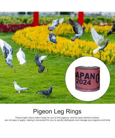 50 Multicolored Aluminum Pigeon & Chicken Leg Rings - Bird Identification Foot Rings & Accessories - Buy Online on GoSupps.com