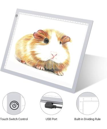 RTjoy A4 LED Light Pad | USB Powered Drawing Board | Adjustable Brightness Tracing Box for Diamond Painting, Vinyl Weeding, Slides Viewing | Silver A4 Light Pad - Buy Online on GoSupps.com