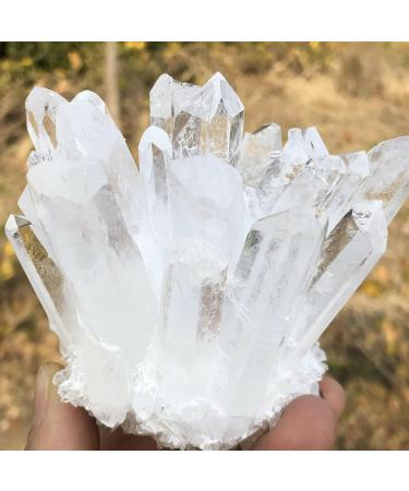 NAKOUULF Natural White Quartz Crystal Cluster Specimen Suitable for Home HOMEZHOU (Size : 250-300g) - Buy Online on GoSupps.com