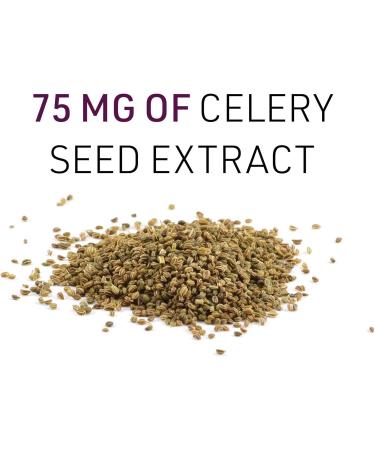 Natural Factors Celery Seed Extract 120 Veg Capsules - Standardized Herbal Supplement - Buy Online on GoSupps.com