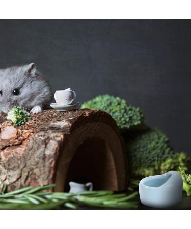 Hamster Bowl- Small Animal Food Dish Hamster Water Bowl for Bunny Guinea Pig Hamster Chinchilla Rabbit Blue - Buy Online on GoSupps.com