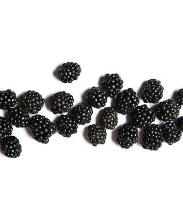 GIOVANNI 2chic Ultra-Repairing Hair Mask 5 oz. - Blackberry & Coconut Oil for Dry, Damaged Hair | Argan, Jojoba, Shea Butter & Keratin | Sulfate Free, Color Safe - Buy Online on GoSupps.com