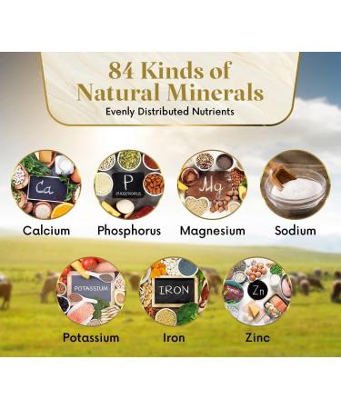 2x Himalayan Pink Salt Compressed Lick - Horse Cow Sheep Animal - 6kg each - Buy Online on GoSupps.com