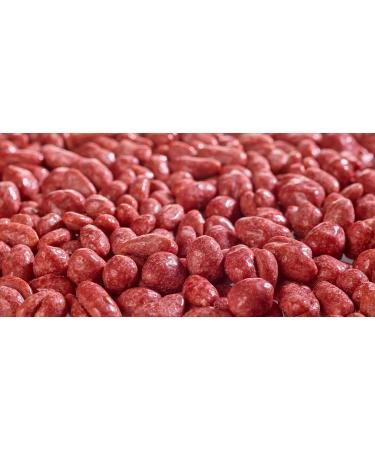 Nona the Red Nut - 750g Roasted Red Dragon Peanuts in 960ml White Double-Walled Stainless Steel Bottle - Premium Snack & Gift - Buy Online on GoSupps.com