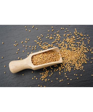  Mautner Markhof Mautner Markhof Creamy Mustard Soft and Soft - 200g - 4x - Buy Online on GoSupps.com