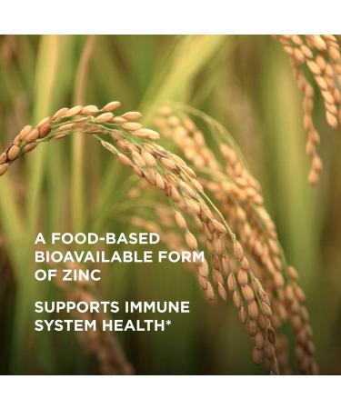 Solgar Earth Source Food Fermented Koji Zinc 25mg - 60 Vegetable Capsules - Buy Online on GoSupps.com