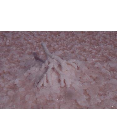 SIVASH Natural Unrefined Sea Bath Salt 1 kg - Buy Online on GoSupps.com
