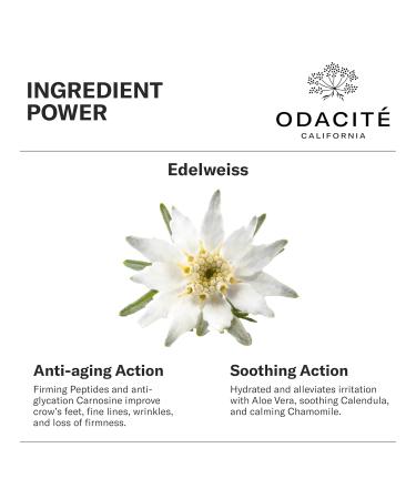 ODACITE Edelweiss Extreme Eye Cream - Anti-Aging Vegan Skincare with Carnosine Peptides for All Skin Types - 0.51 oz - Buy Online on GoSupps.com