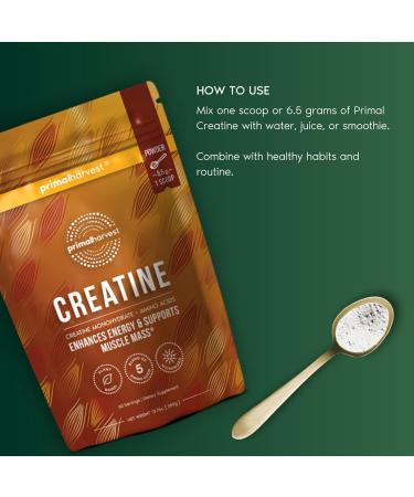 Primal Creatine Powder + Primal Magnesium Capsules Bundle | 2-Pack | Support Muscle Strength Recovery & Relaxation | 60 Servings - Buy Online on GoSupps.com