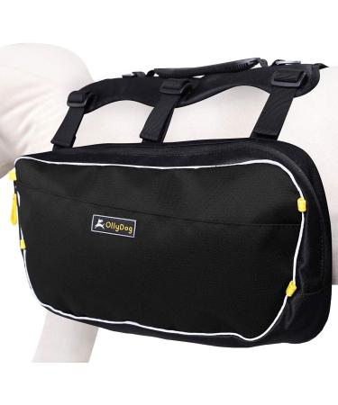 OllyDog Trekker RF Dog Backpack Harness - Lightweight Saddle Bag for Walking, Camping, and Backpacking - Medium Raven - Buy Online on GoSupps.com