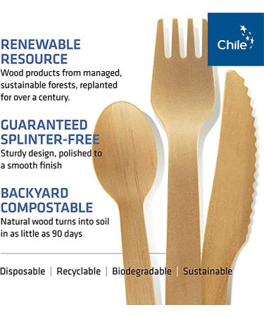 WoodAble Disposable Wooden Cutlery Mix - 200 Count | Backyard Compostable | 80 Forks, 80 Spoons, 40 Knives - Buy Online on GoSupps.com