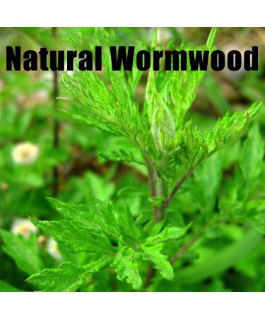 Moxa Rolls Stick - 10pcs/box | Smoke-Free Treatment for Healing | International Shipping - Buy Online on GoSupps.com