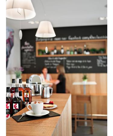  1883 MAISON ROUTIN 1883 Hazelnut syrup 1 L - Buy Online on GoSupps.com