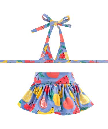 CuteBone Dog Bikini 2-Pack Swimsuit for Small Dogs - Girl Costume Beach & Fruits Theme - Buy Online on GoSupps.com