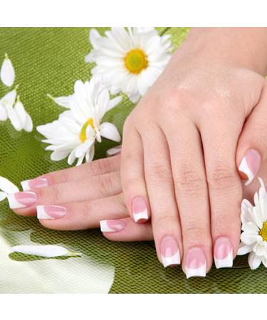 8 x Zebra Nail Art Dotting Pens Professional Manicure Brush Tools for Perfect Nail Designs | International Shipping Available - Buy Online on GoSupps.com