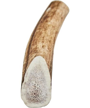 ARQUIVET Antlers L 76-150g Eco Dog Bites Dog Deer Horne Natural Chew Dogs - Buy Online on GoSupps.com