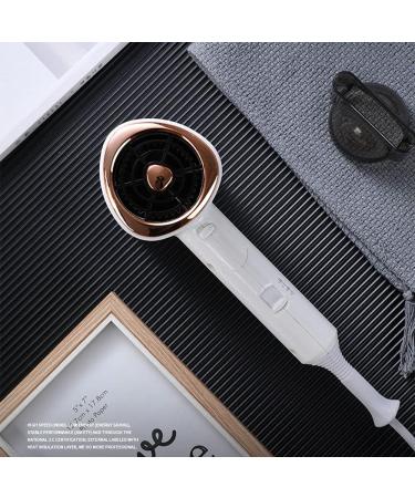 Professional Hair Dryer 1800W Travel Hair Dryer Negative ION Hairdryer Constant Temperature Hair Care 2 Speed and 3 Kinds of Temperature for a Frizz Free Shine Nozzles with Low Noise for Family Salon - Buy Online on GoSupps.com