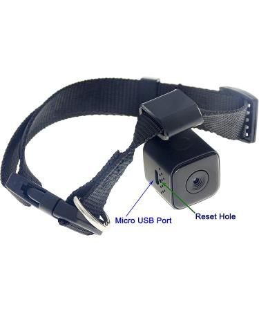 Pet Collar Cam DVR: Video Recorder & Monitor for Dogs, Cats, and Puppies - Buy Online on GoSupps.com