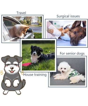 Hisprout Male Dog Diapers - Reusable Washable Durable and Absorbent Cloth Pants for Puppies | L Gentleman Grid - Buy Online on GoSupps.com