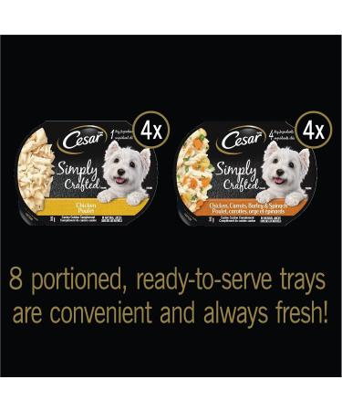 CESAR Simply Crafted Wet Dog Food Variety Packs | Adult Dog Food with Chicken Vegetables Fruits and Grains - Buy Online on GoSupps.com