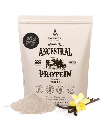 Ancestral Supplements Grass Fed Protein Powder Vanilla Beef Bone Broth Based with Beef Organs & Organic Mushrooms Gut Health Support High Protein Supplement 20g Protein Per Serving 30 Day Supply Vanilla 1.64 Pound