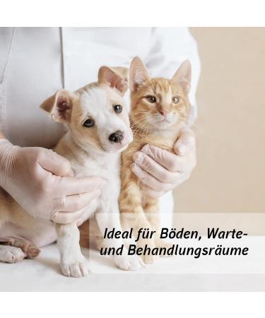 Biodor Animal Concentrate 10L - Powerful Odor Neutralizer & Enzyme Cleaner for Pet Environment | Urine & Feces Odor Remover - Buy Online on GoSupps.com