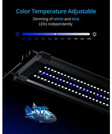NICREW ClassicLED Gen 2 Aquarium Light, Dimmable LED Fish Tank Light with  2-Channel Control, White and Blue LEDs, High Output, Size 18 to 24 Inch, 15  Watts 18 - 24 in