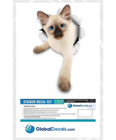 Winston & Bear Siamese Kitten Cat 3D Stickers - 2 Pack for Wall, Bedroom, Fridge, Toilet - Retail Packaged - Buy Online on GoSupps.com