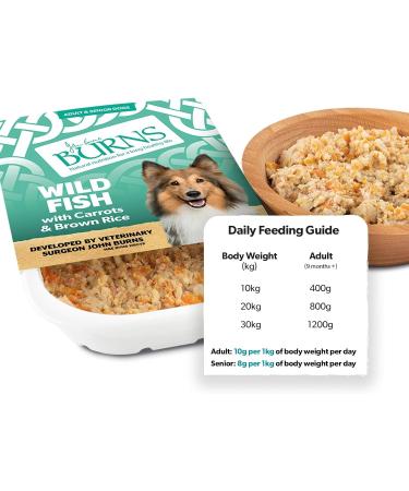 Burns Pet Natural Nutrition Adult and Senior Wet Dog Food - Wild Fish, Carrots, Organic Brown Rice - 12 x 150gm - Buy Online on GoSupps.com
